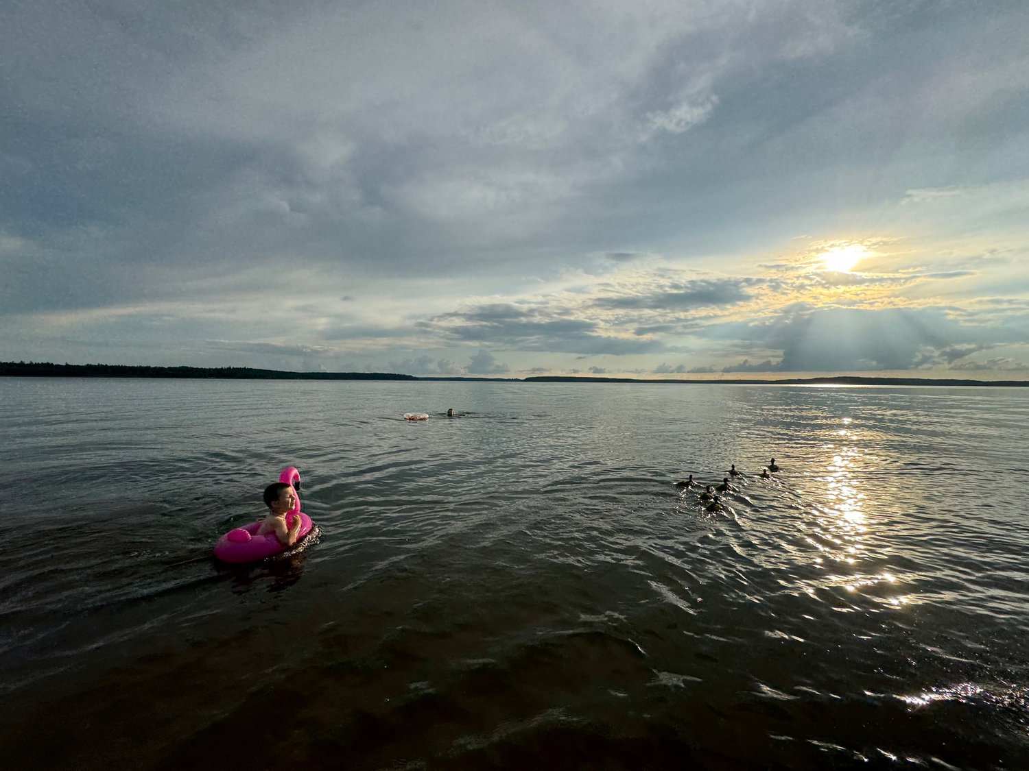 Вечерние радости на водах Селигера