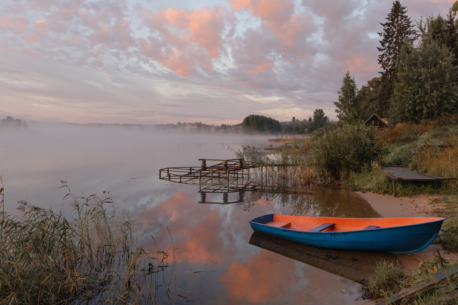 Рассветная тишина у кромки воды