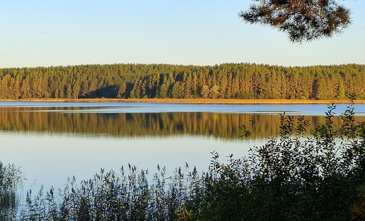 Зеркальная тишина осеннего берега