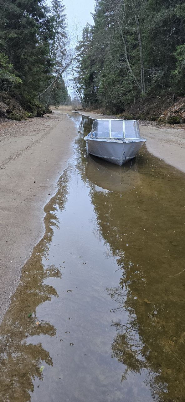 Лодка в луже — отражение леса