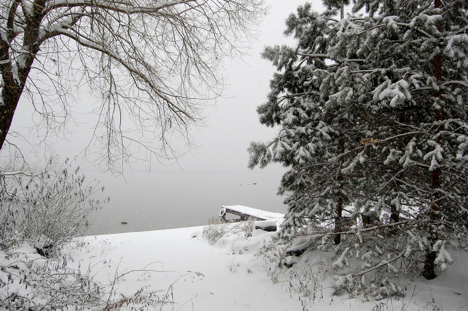 Зимняя тишина у заснеженного берега