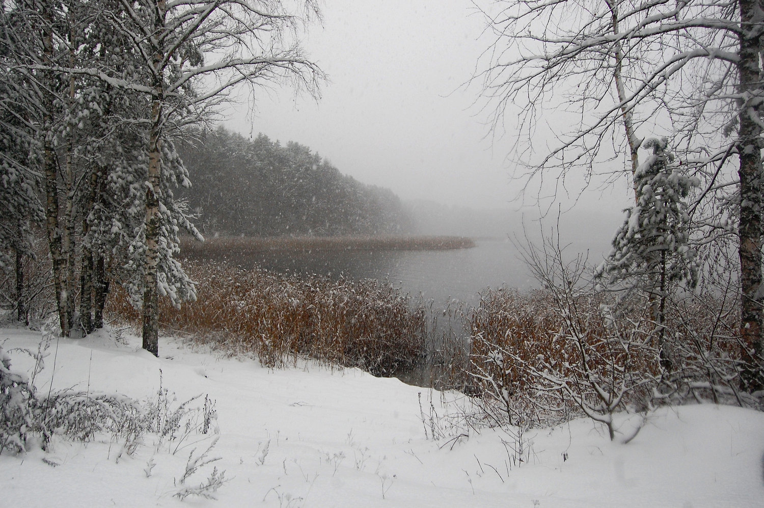 Снегопад стирает границы воды и неба