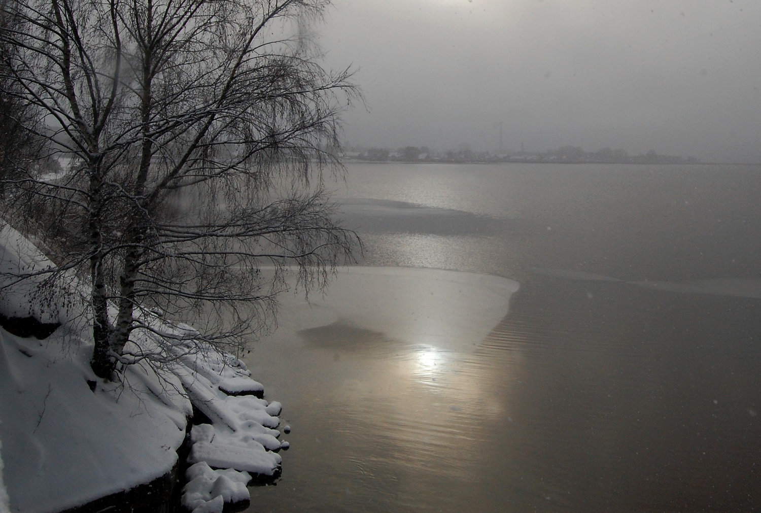 Солнце тонет в молоке тумана