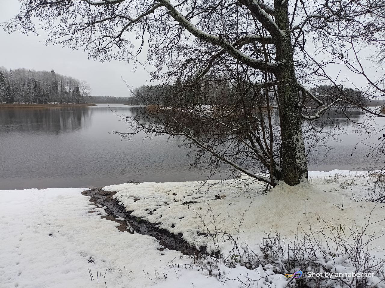 Снег на ветвях, тишина на воде
