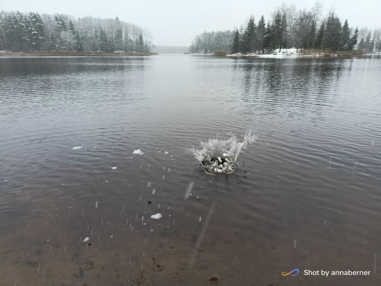 Зимний всплеск на тихой глади