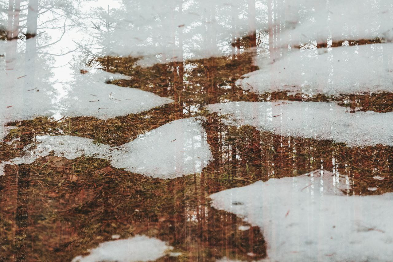 Снег тает, лес отражается