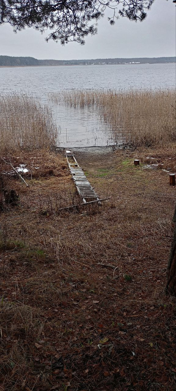 Забытая лестница к воде
