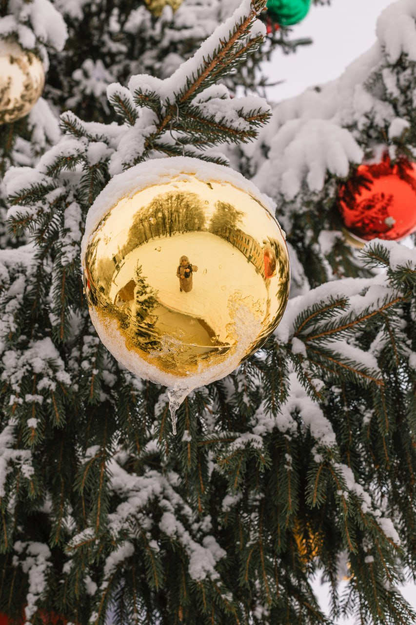 Зеркало зимы в золотом шаре