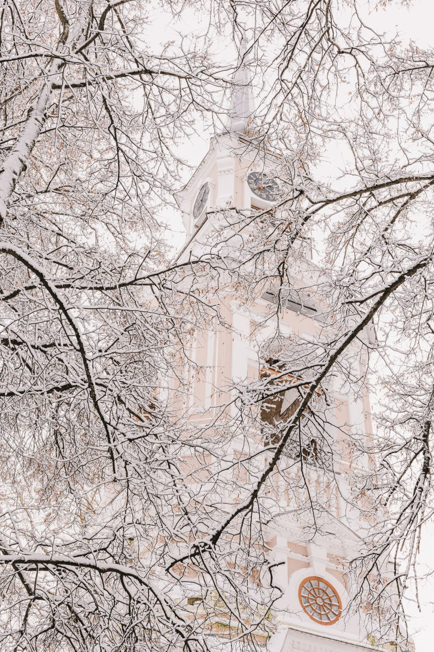 Белые ветви, белый шпиль