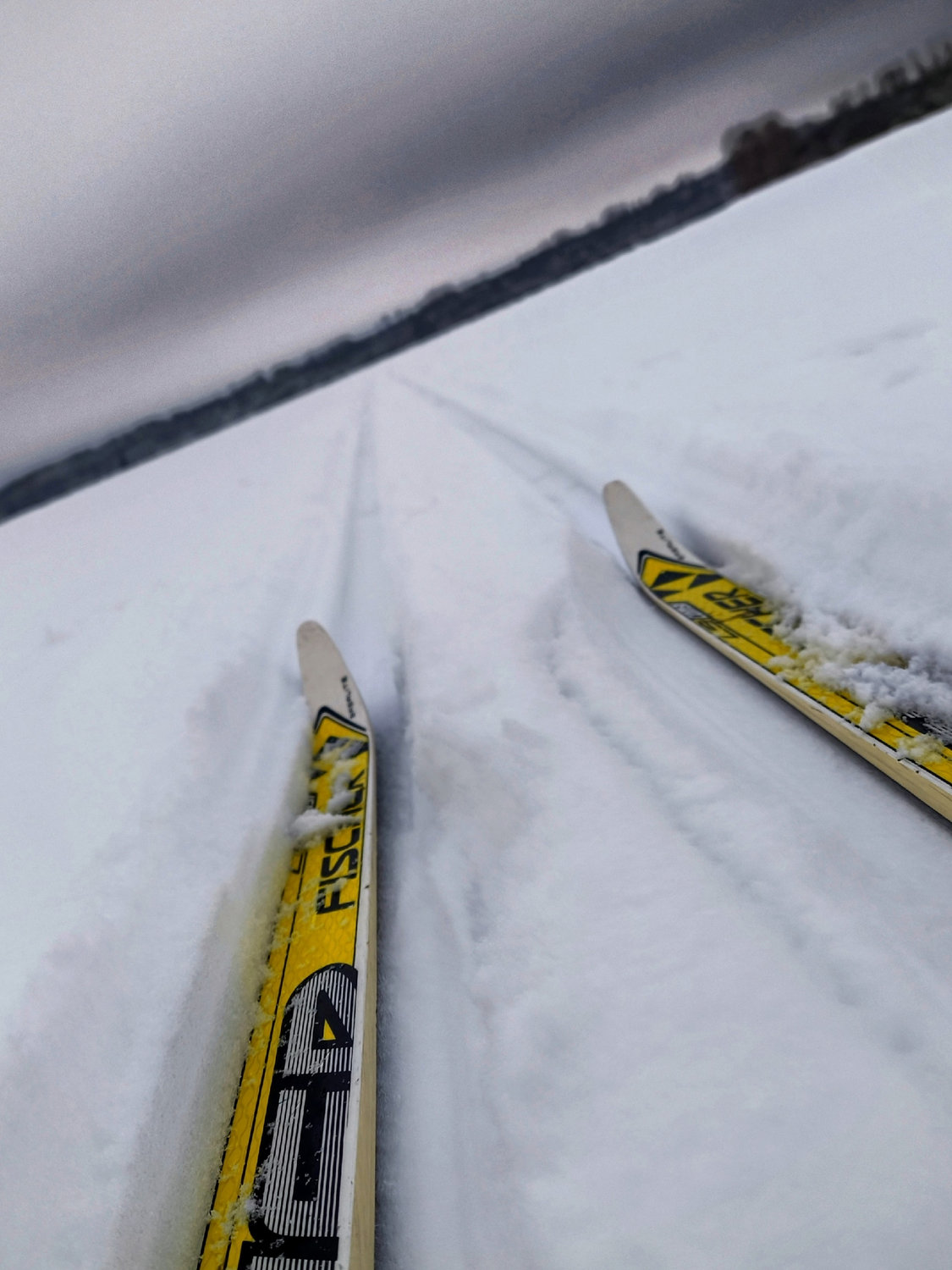 Следы в снегу, где тишина — главный гость