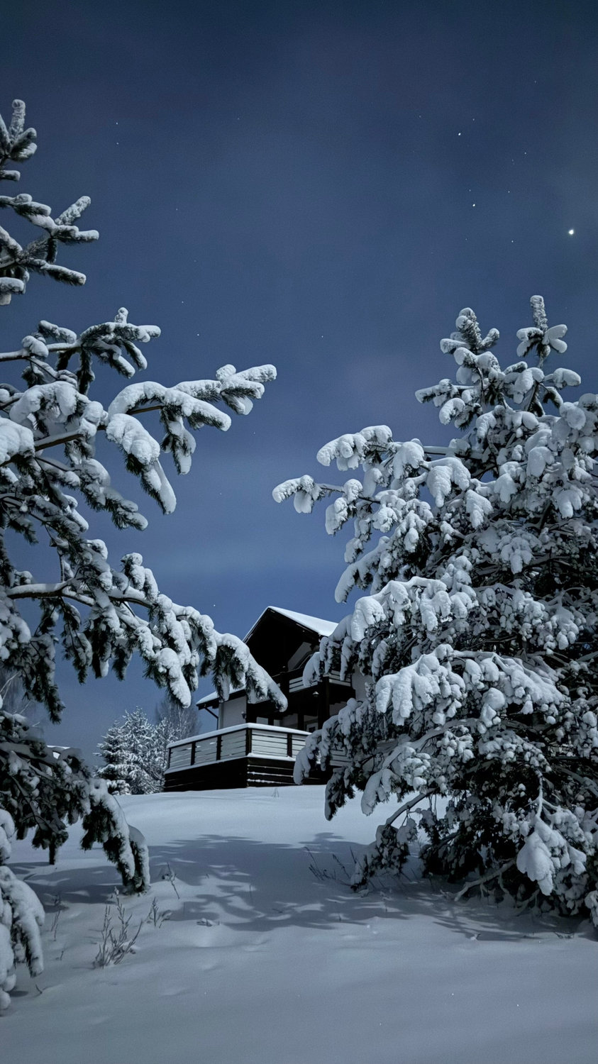 Звёзды над снежным приютом