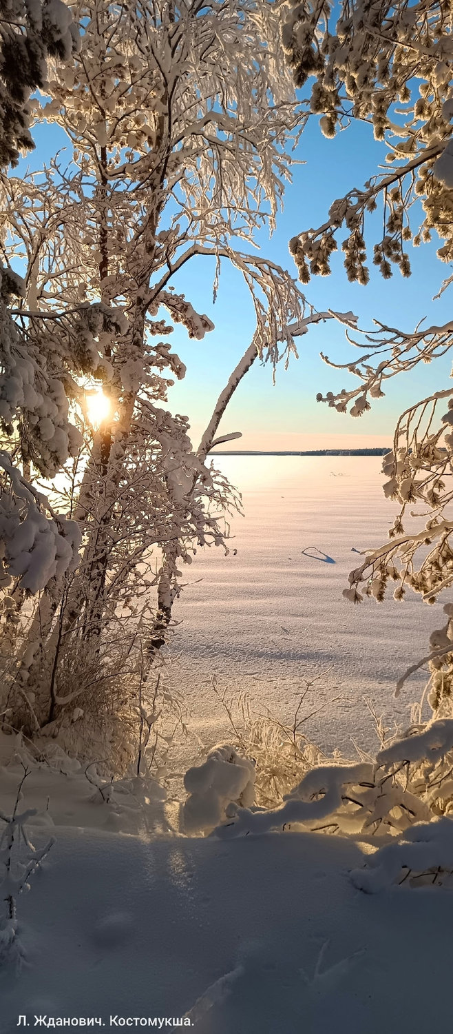 Солнце пробивается сквозь иней