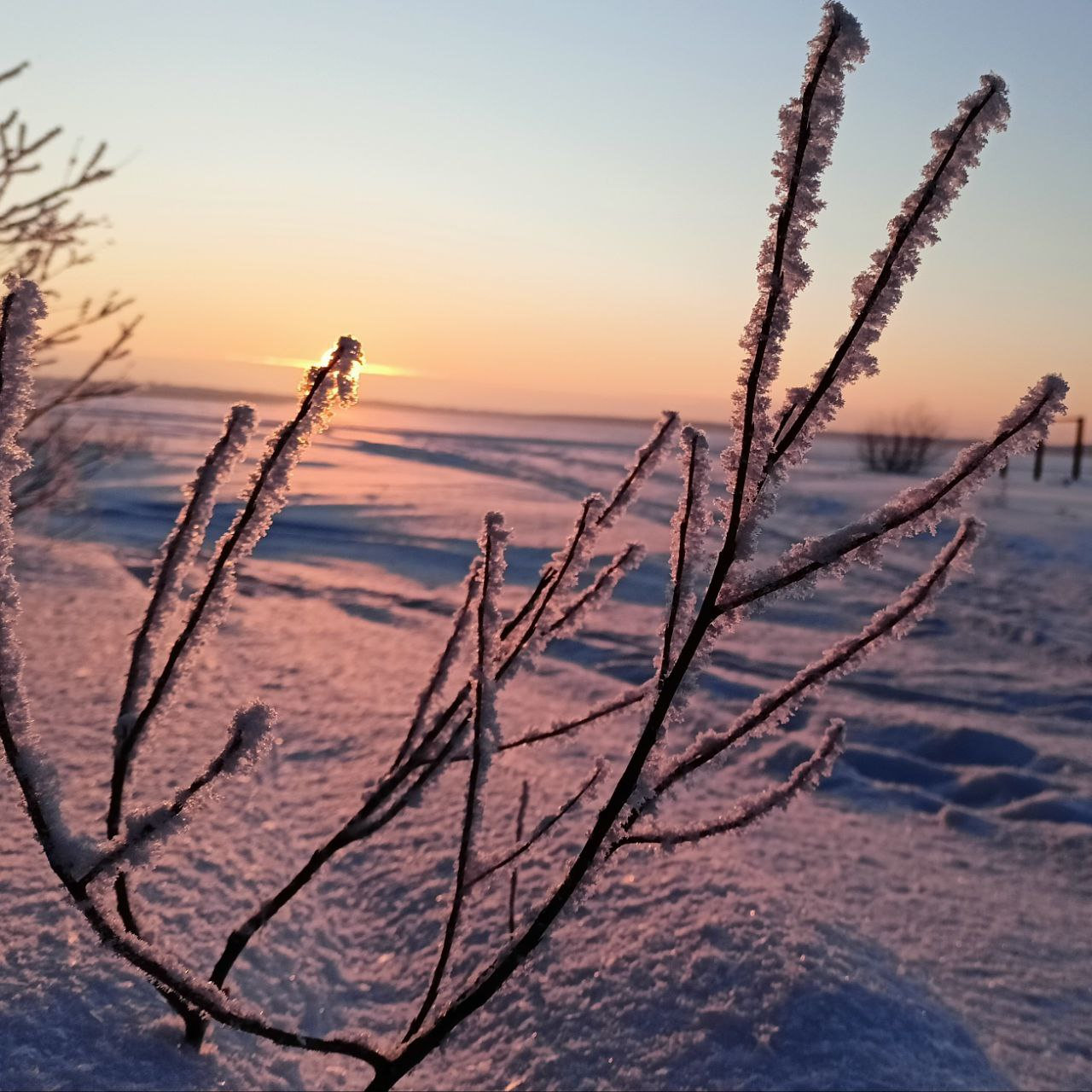 Иней звенит на кромке льда