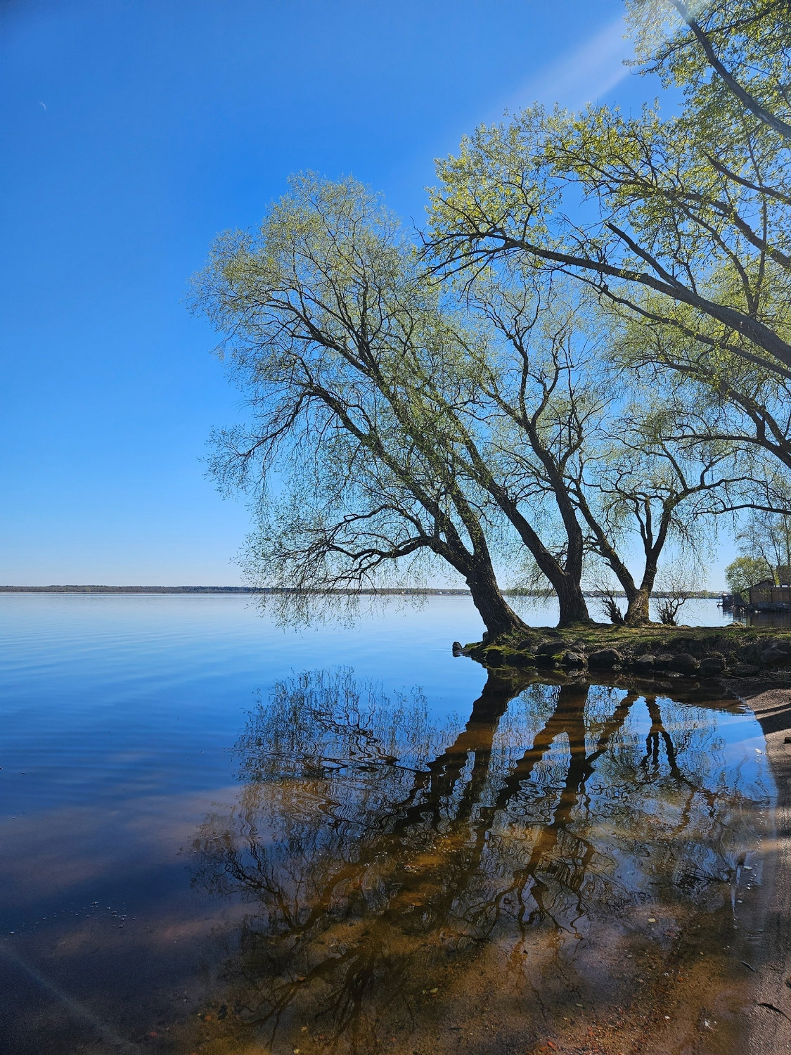 Ива смотрит в воду — вода смотрит в небо