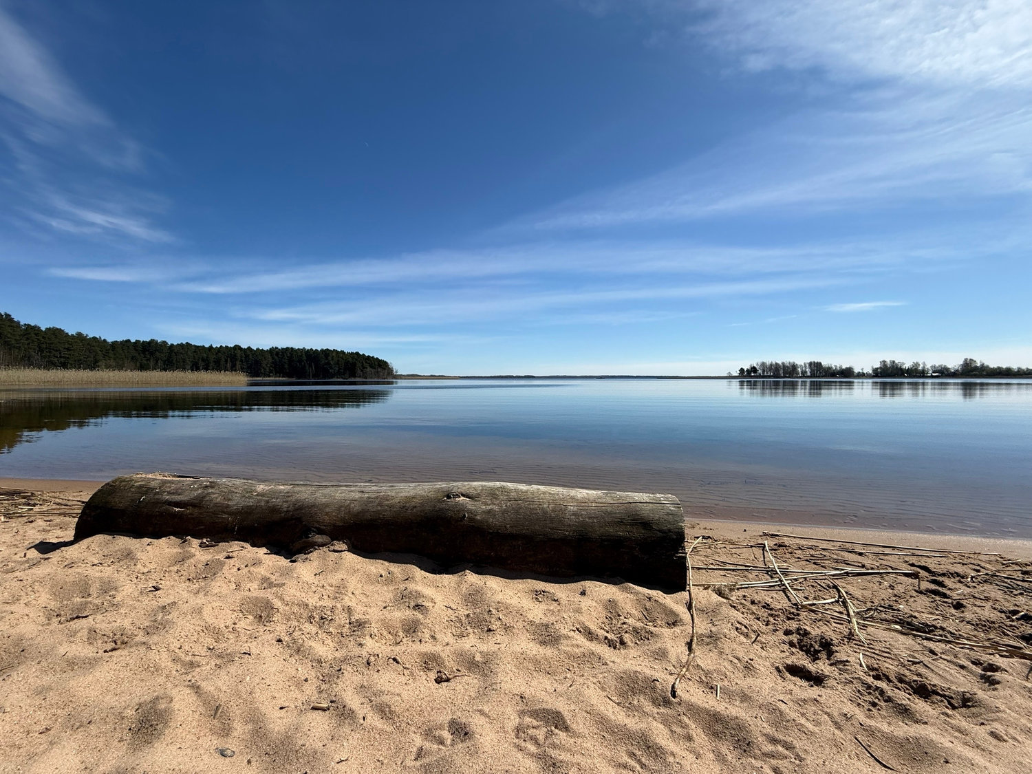 Бревно, песок и вода, которой некуда спешить