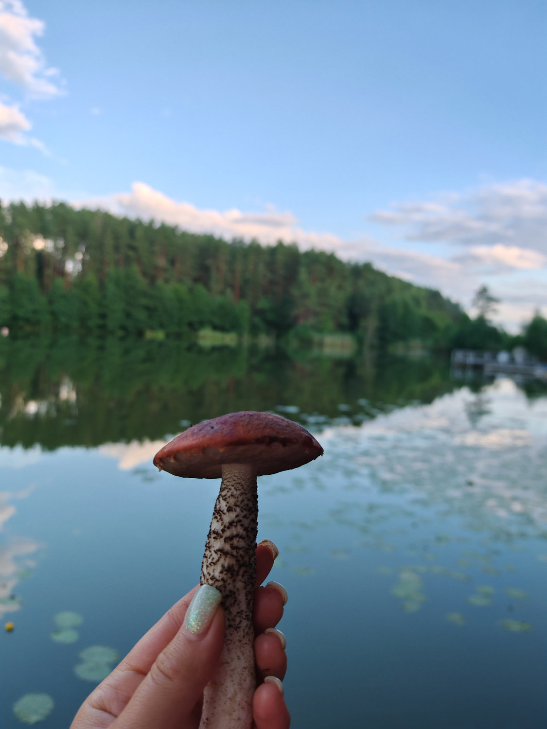 Грибная удача на фоне вечернего Селигера