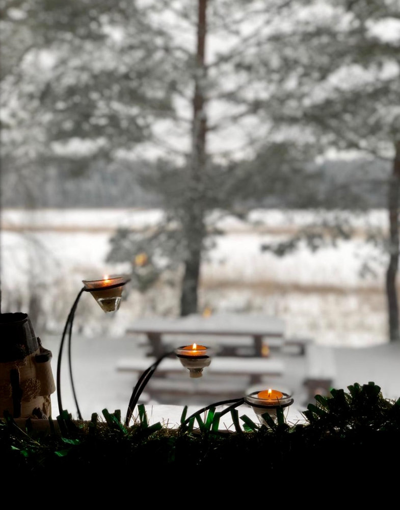 Шале среди сосен на первой линии