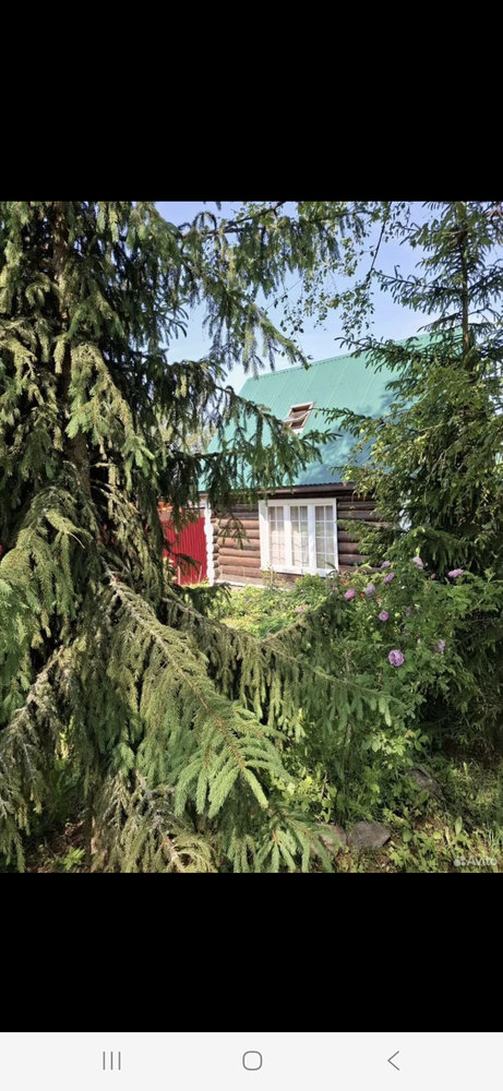 Уютный домик на первой линии Селигера