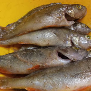 Вкуснотень