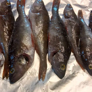 Вкуснотень