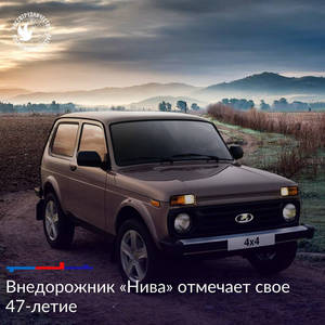 Пикейные жилеты