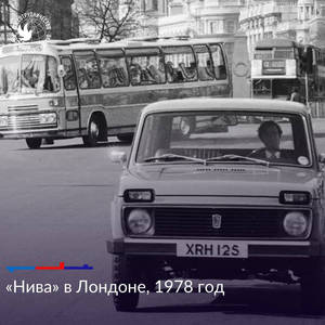 Пикейные жилеты
