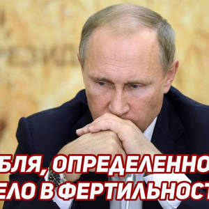Пикейные жилеты