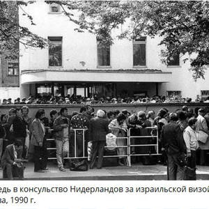 Пикейные жилеты
