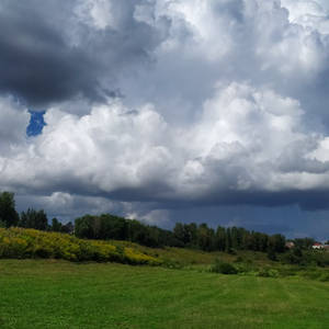 Пикейные жилеты