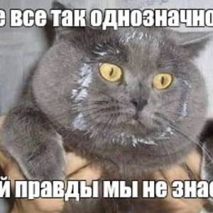 Пикейные жилеты