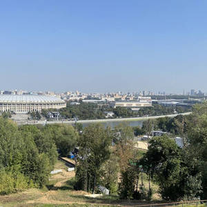 Пикейные жилеты