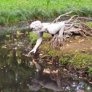 Пикейные жилеты