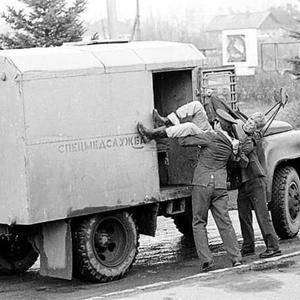 Пикейные жилеты