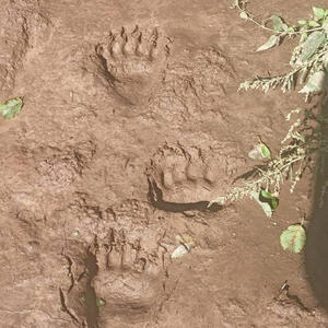 Вкуснотень