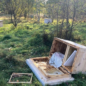 Вкуснотень