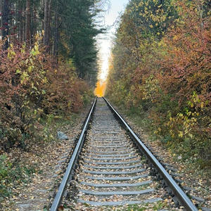 Всякое разное