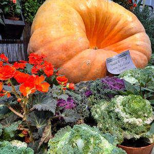 Всякое разное