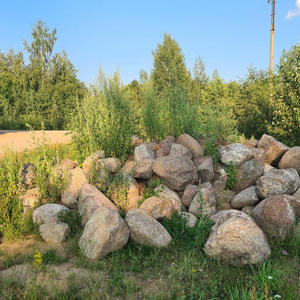 Всякое разное