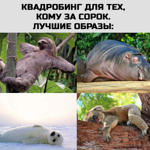 Всякое разное
