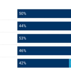 Пикейные жилеты