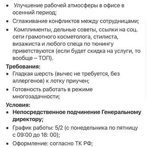 Всякое разное