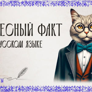 Пикейные жилеты