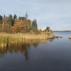 Всякое разное