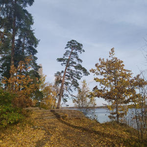 Всякое разное