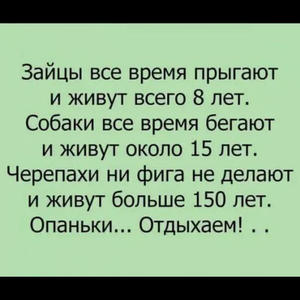 Пикейные жилеты