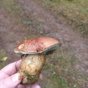 Всякое разное