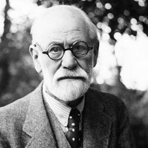 Пикейные жилеты