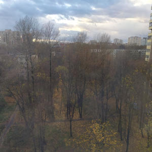 Всякое разное