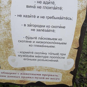 Пикейные жилеты