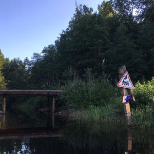 Всякое разное